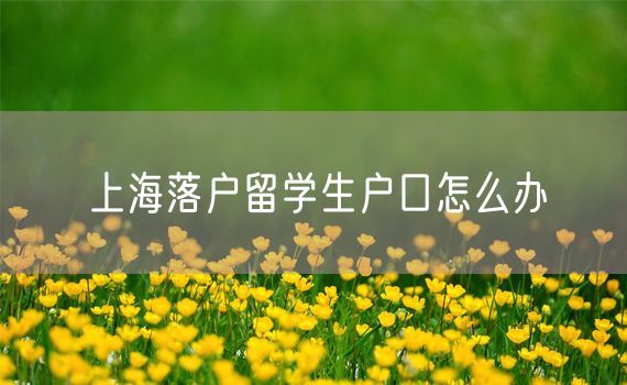 上海落户留学生户口怎么办