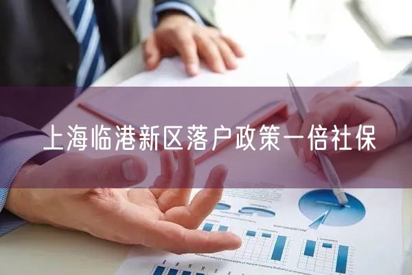 上海临港新区落户政策一倍社保