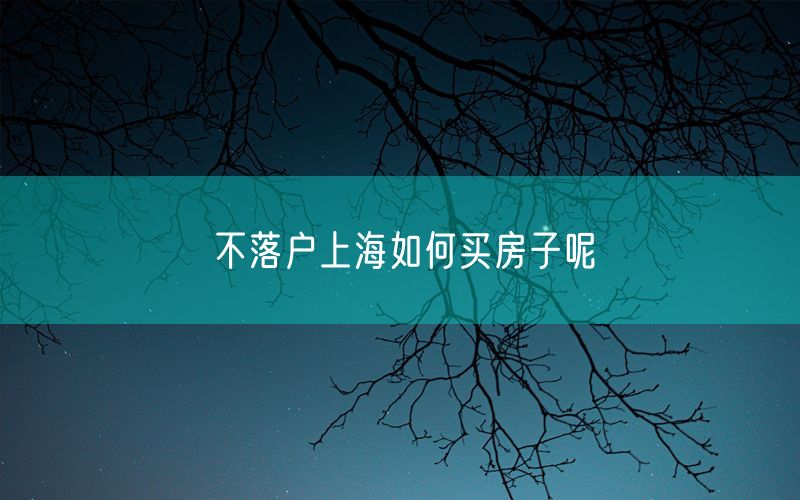 不落户上海如何买房子呢