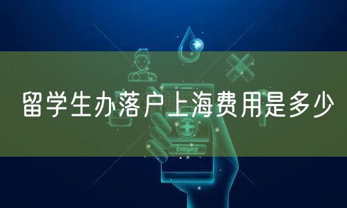 留学生办落户上海费用是多少