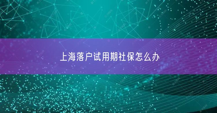 上海落户试用期社保怎么办