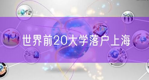 世界前20大学落户上海