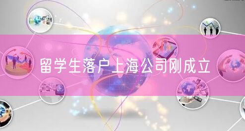 留学生落户上海公司刚成立