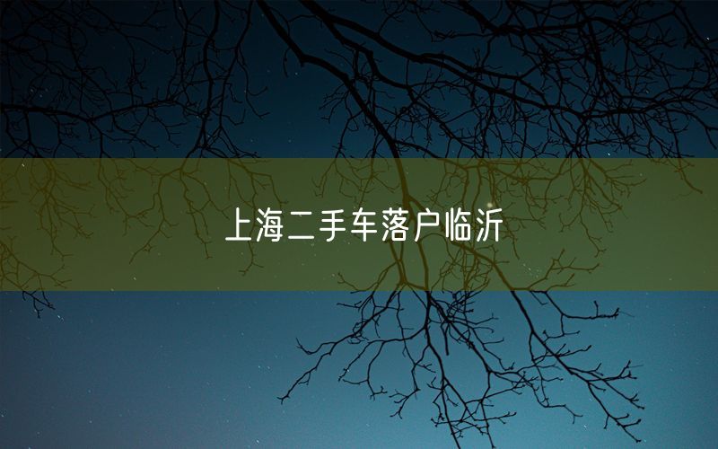 上海二手车落户临沂