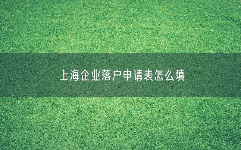 上海企业落户申请表怎么填