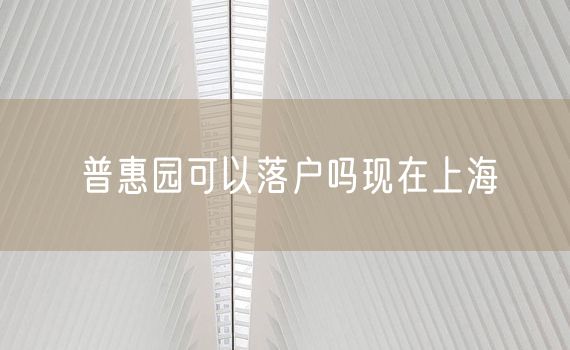 普惠园可以落户吗现在上海