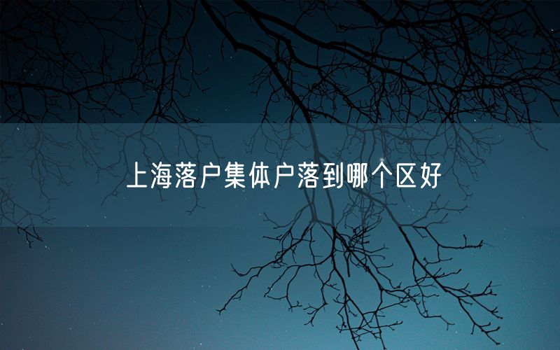 上海落户集体户落到哪个区好