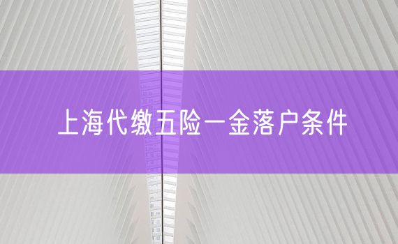 上海代缴五险一金落户条件