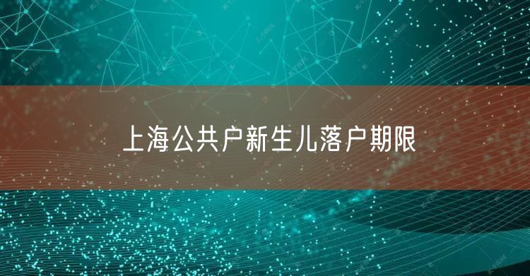 上海公共户新生儿落户期限