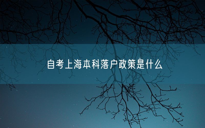 自考上海本科落户政策是什么