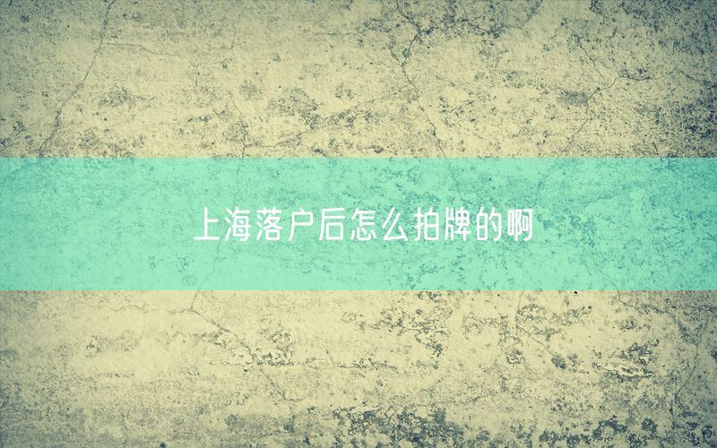 上海落户后怎么拍牌的啊