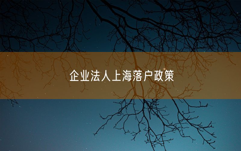 企业法人上海落户政策