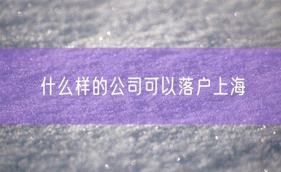 什么样的公司可以落户上海