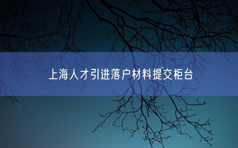 上海人才引进落户材料提交柜台