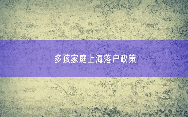 多孩家庭上海落户政策