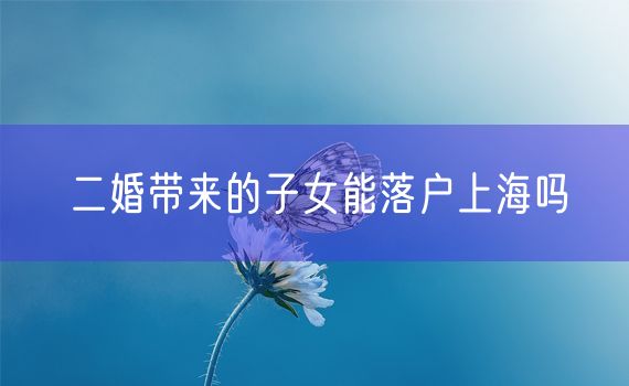 二婚带来的子女能落户上海吗