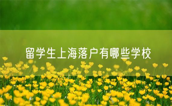 留学生上海落户有哪些学校