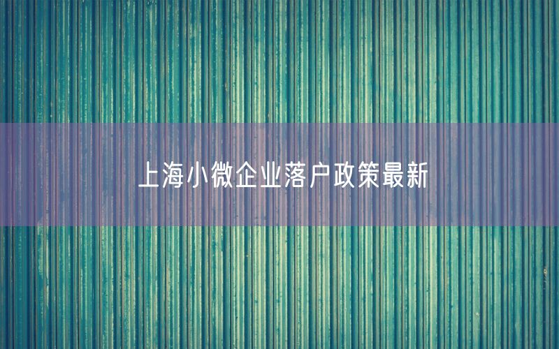 上海小微企业落户政策最新