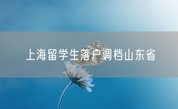 上海留学生落户调档山东省