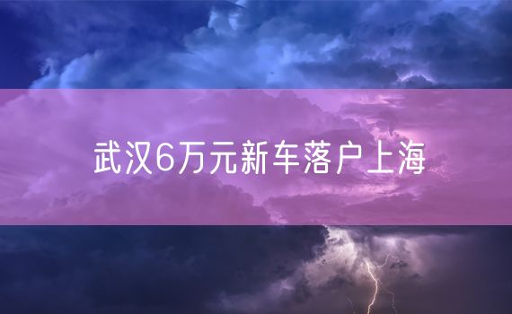 武汉6万元新车落户上海