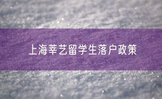 上海莘艺留学生落户政策