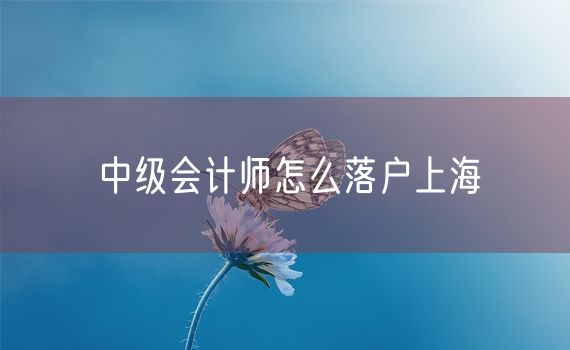 中级会计师怎么落户上海