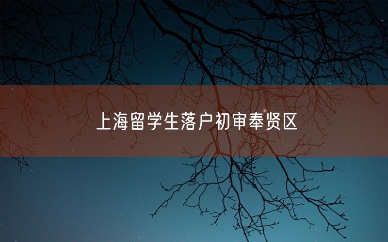 上海留学生落户初审奉贤区