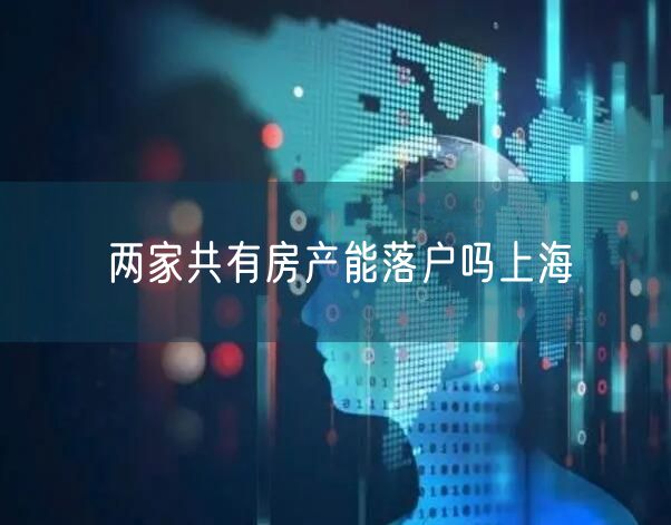 两家共有房产能落户吗上海