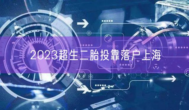 2023超生二胎投靠落户上海