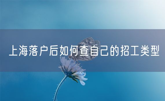 上海落户后如何查自己的招工类型