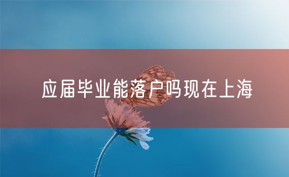 应届毕业能落户吗现在上海