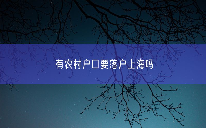 有农村户口要落户上海吗