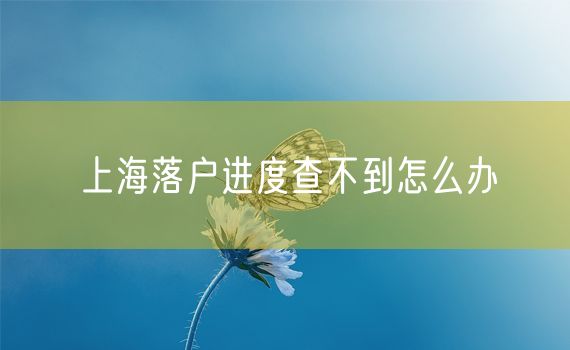 上海落户进度查不到怎么办