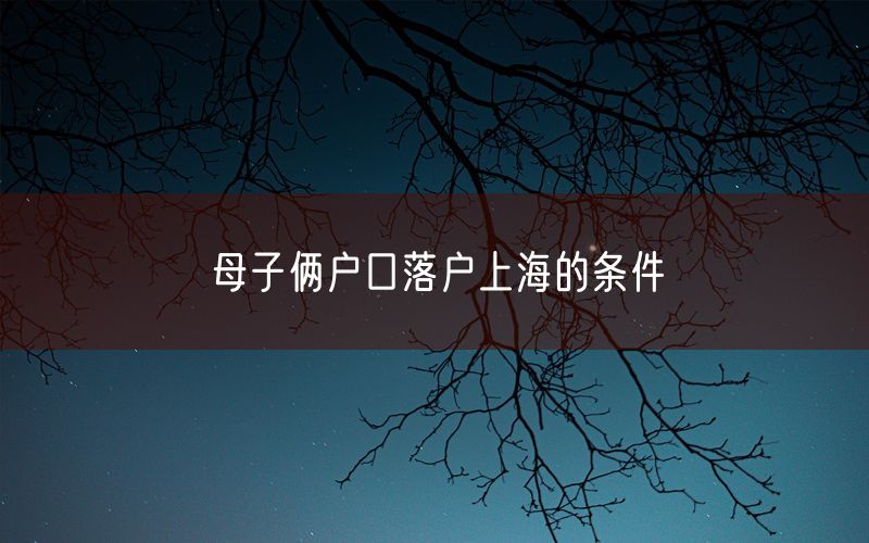 母子俩户口落户上海的条件