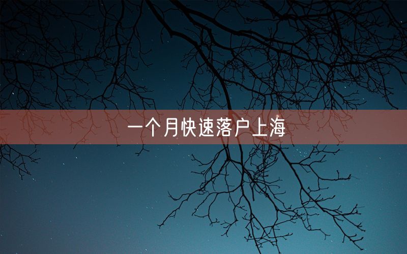 一个月快速落户上海