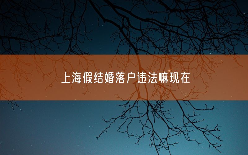 上海假结婚落户违法嘛现在