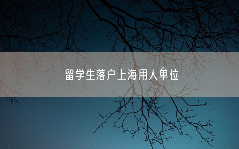 留学生落户上海用人单位