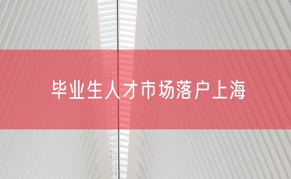 毕业生人才市场落户上海