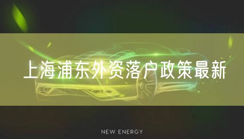 上海浦东外资落户政策最新