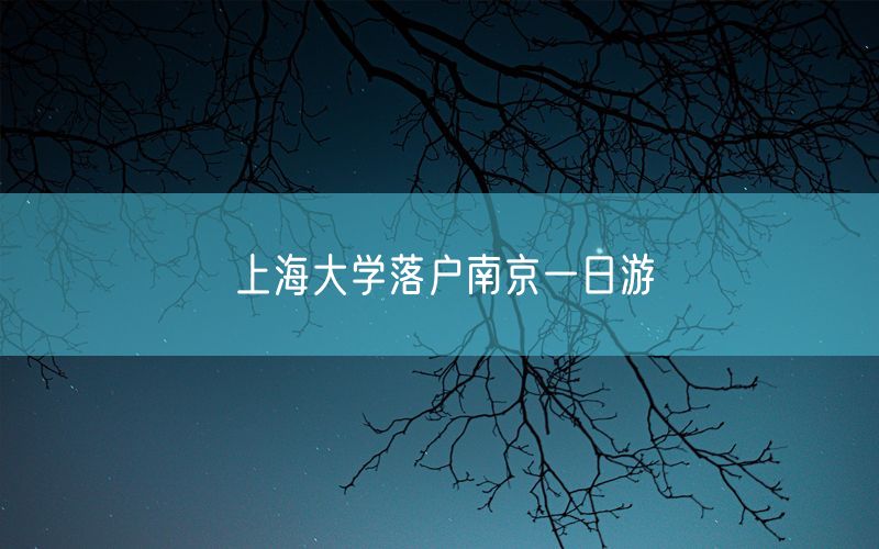 上海大学落户南京一日游