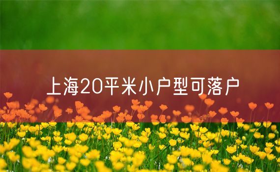 上海20平米小户型可落户