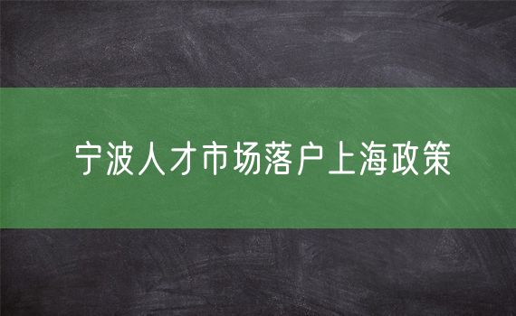 宁波人才市场落户上海政策