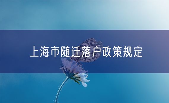 上海市随迁落户政策规定