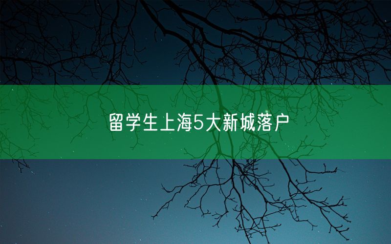 留学生上海5大新城落户