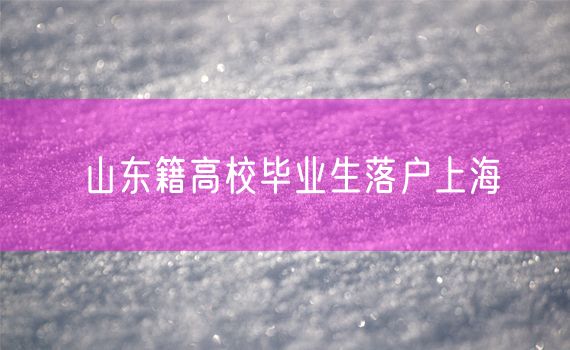 山东籍高校毕业生落户上海