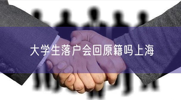 大学生落户会回原籍吗上海