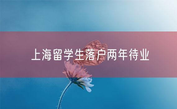 上海留学生落户两年待业