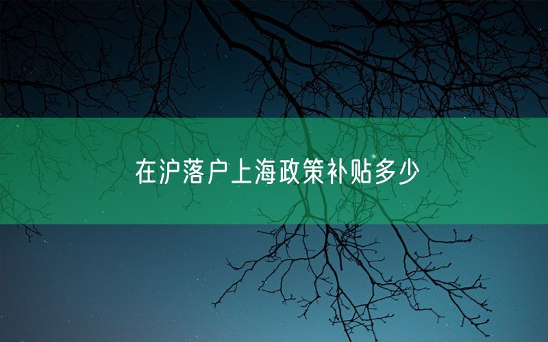 在沪落户上海政策补贴多少