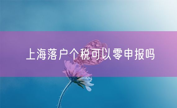 上海落户个税可以零申报吗