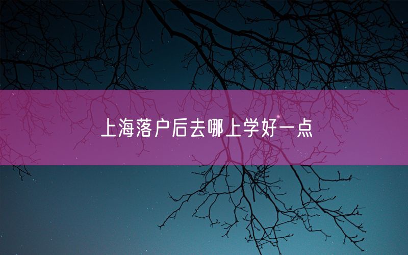 上海落户后去哪上学好一点